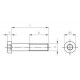 Винт DIN 7984 А2 А4 нержавеющий с низкой цилиндрической головкой и внутренним шестигранником