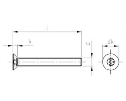 Винт антивандальный с потайной головкой с шестирадиусным шлицем и штырьком